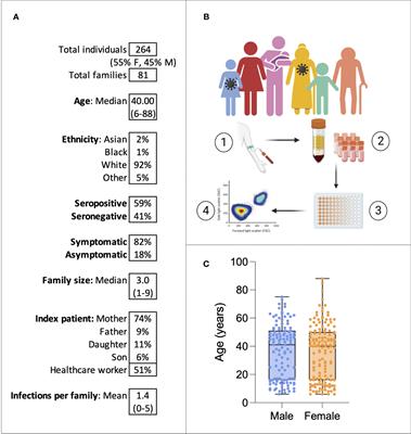 Cellular immunity to SARS-CoV-2 following intrafamilial exposure in seronegative family members